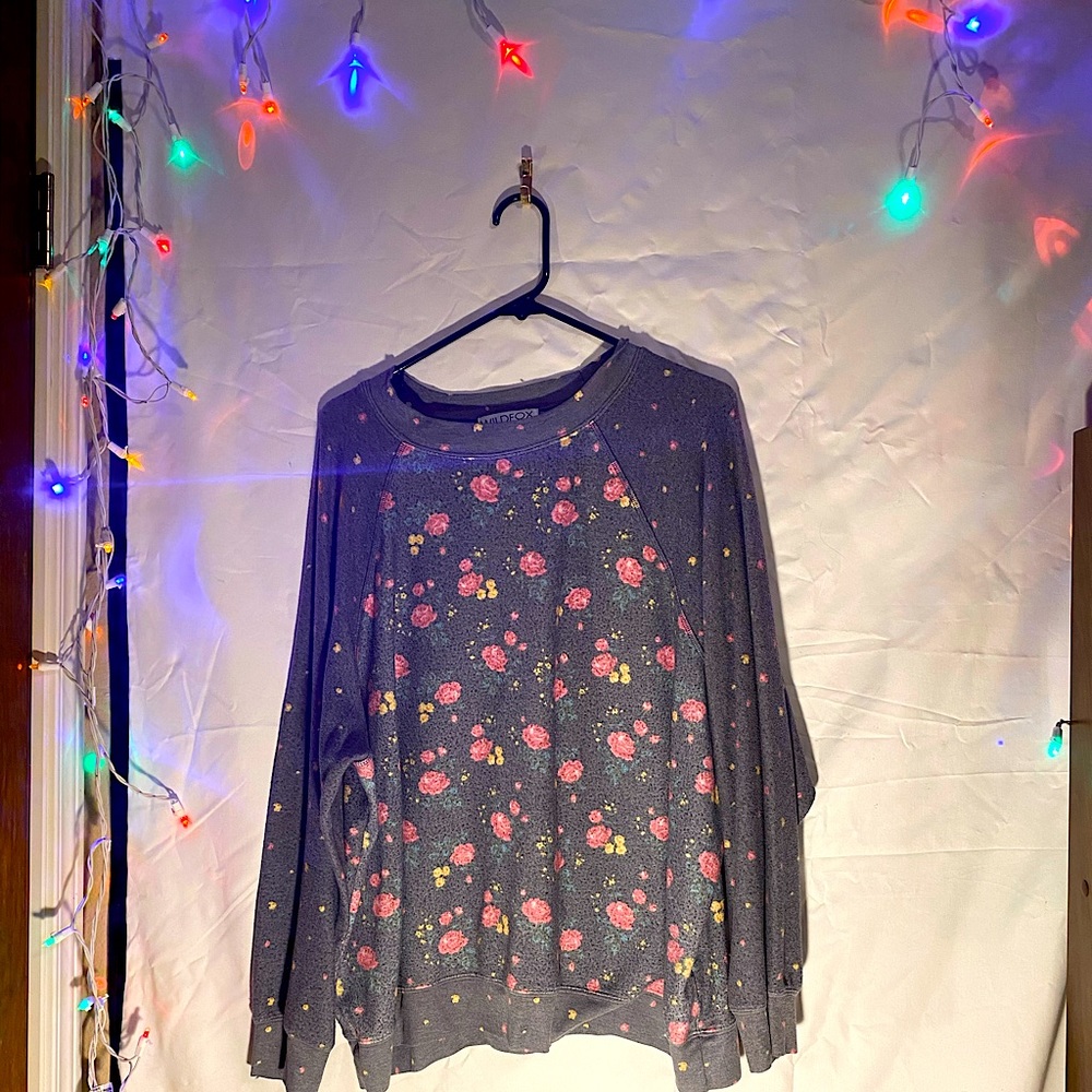 Wildfox sweatshirt